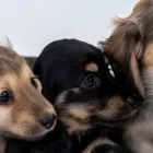 プライバシーポリシー